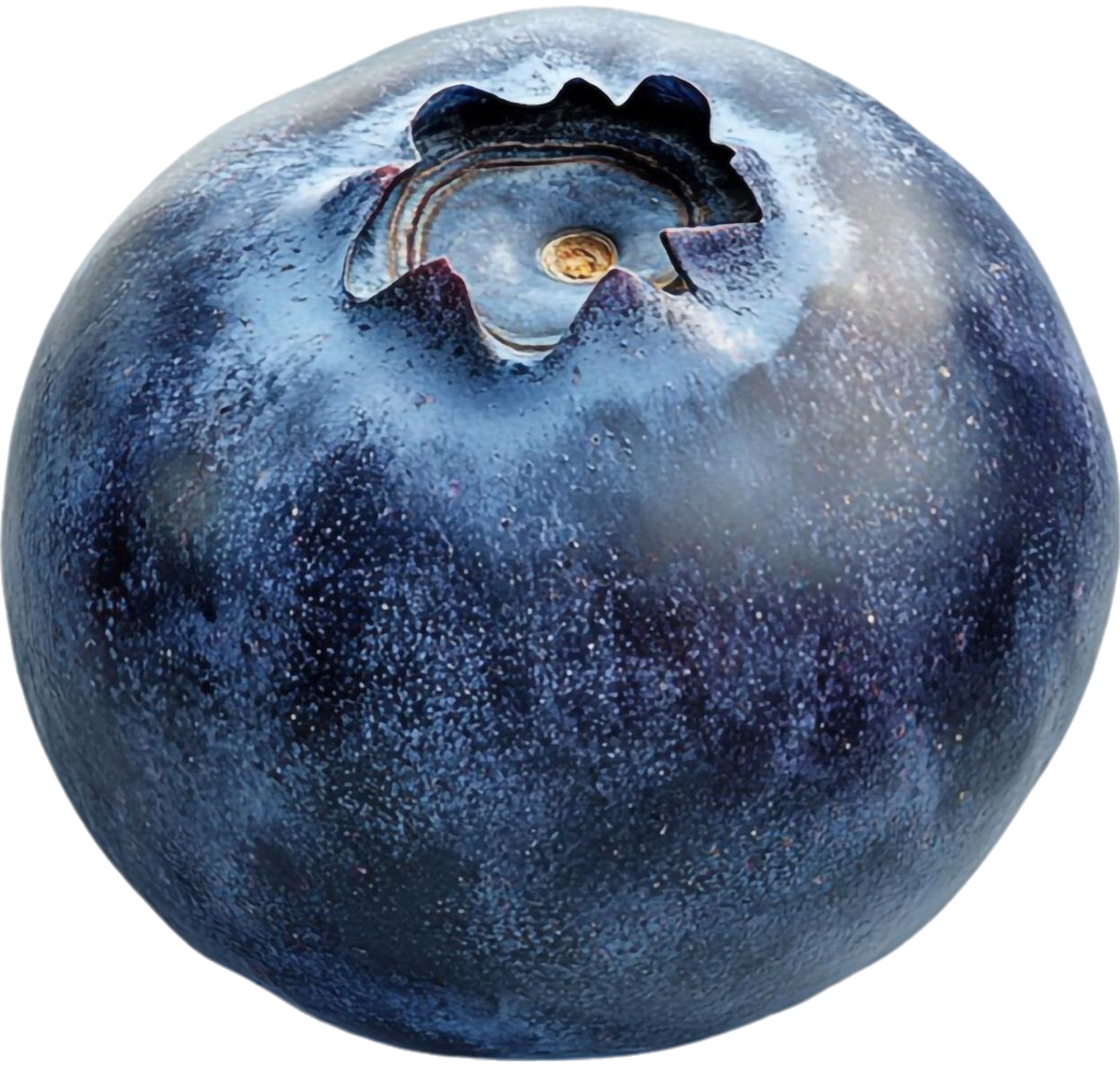 bilberry image